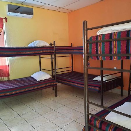 Green Monkey Hostel Flores Exteriör bild