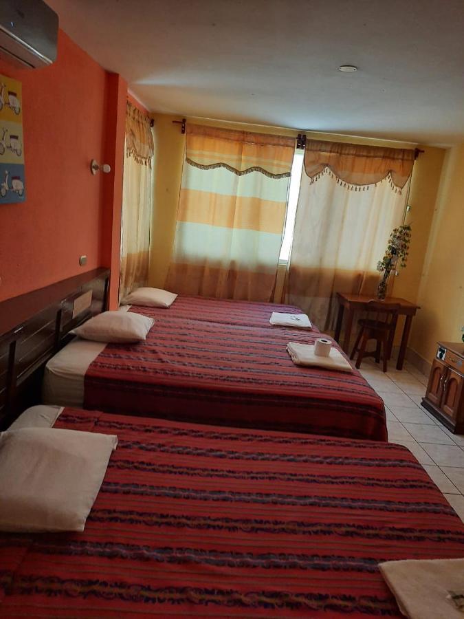 Green Monkey Hostel Flores Exteriör bild